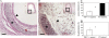 <b>Figure 5.</b>