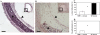 <b>Figure 6.</b>