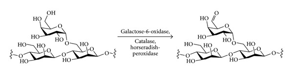 Scheme 10