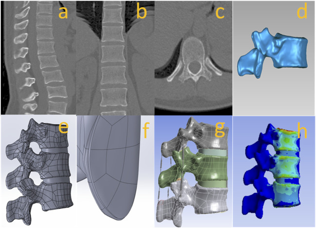 FIGURE 2