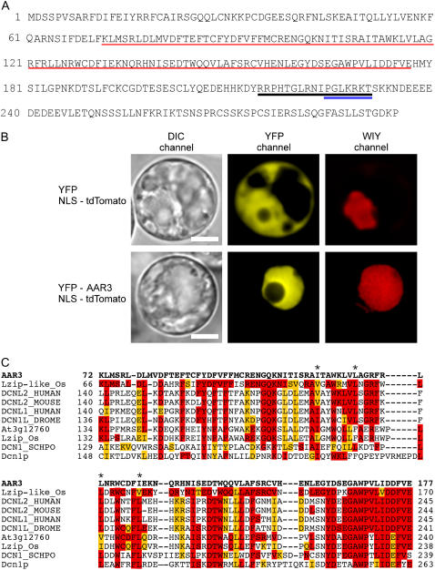 Figure 6.