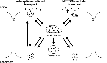 FIGURE 6.