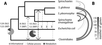 FIG 3 