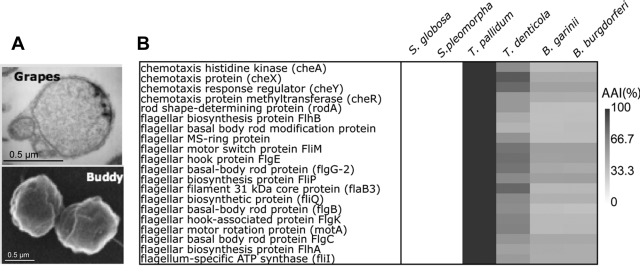 FIG 2 