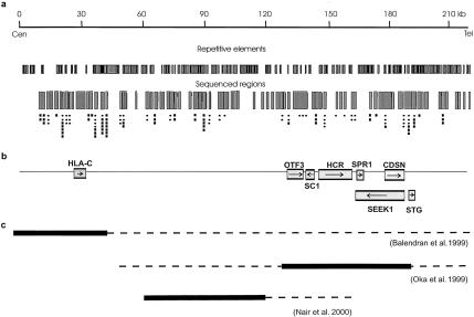 Figure  1