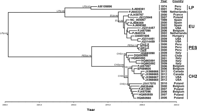 FIG 3