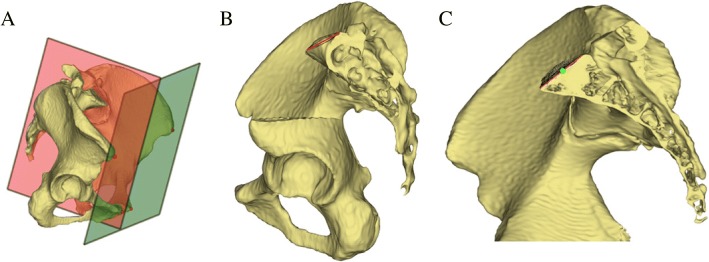 Fig. 2