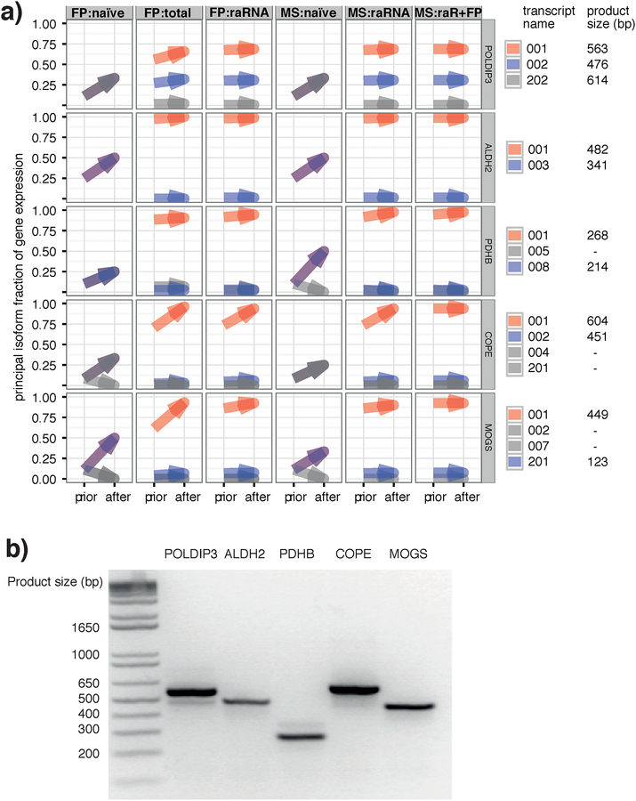 Figure 5 |