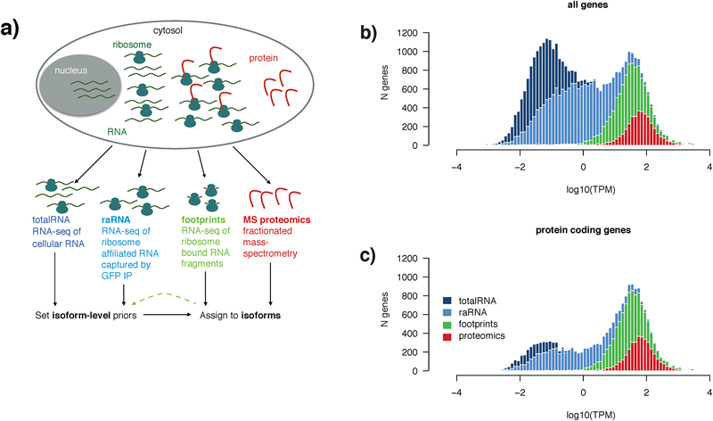 Figure 1 |