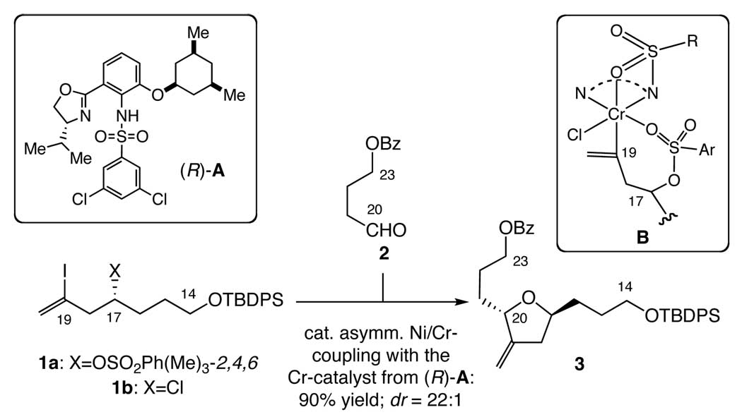 Scheme 2