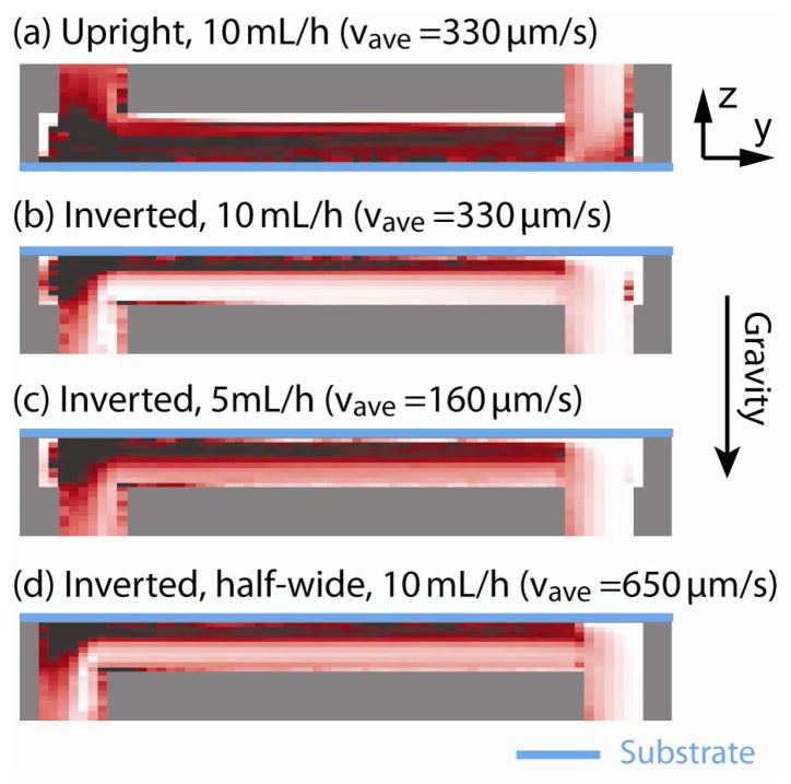 Figure 12