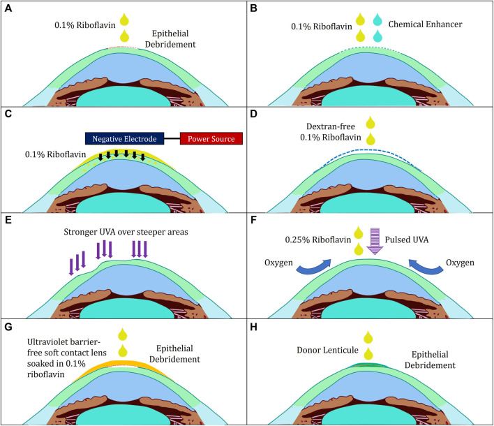 FIGURE 2