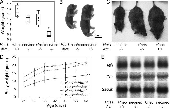 Figure 3.