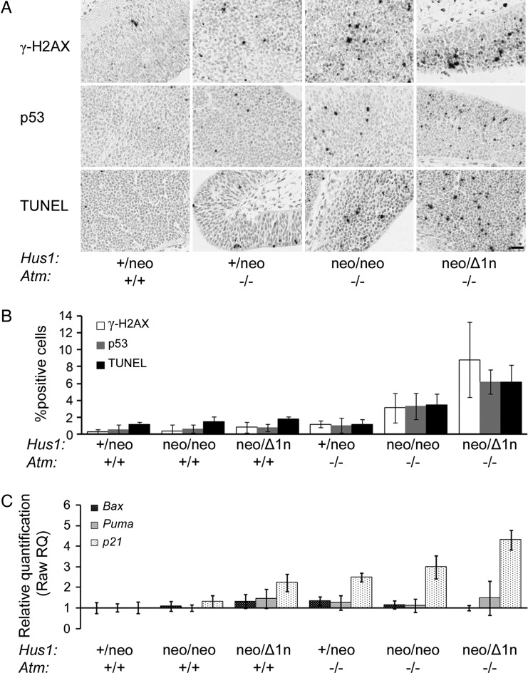 Figure 2.