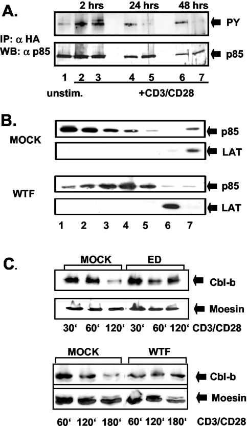 FIG. 5.