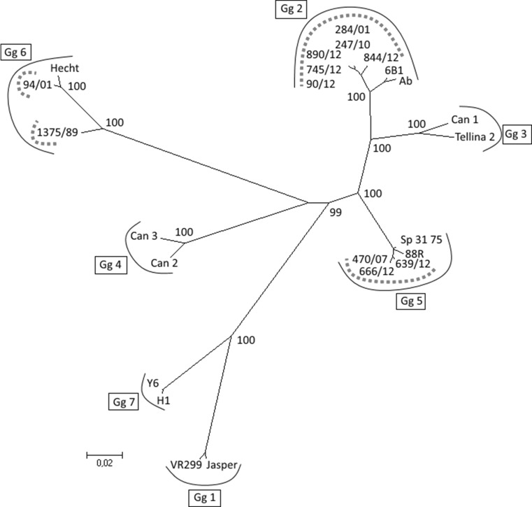 Fig. 4