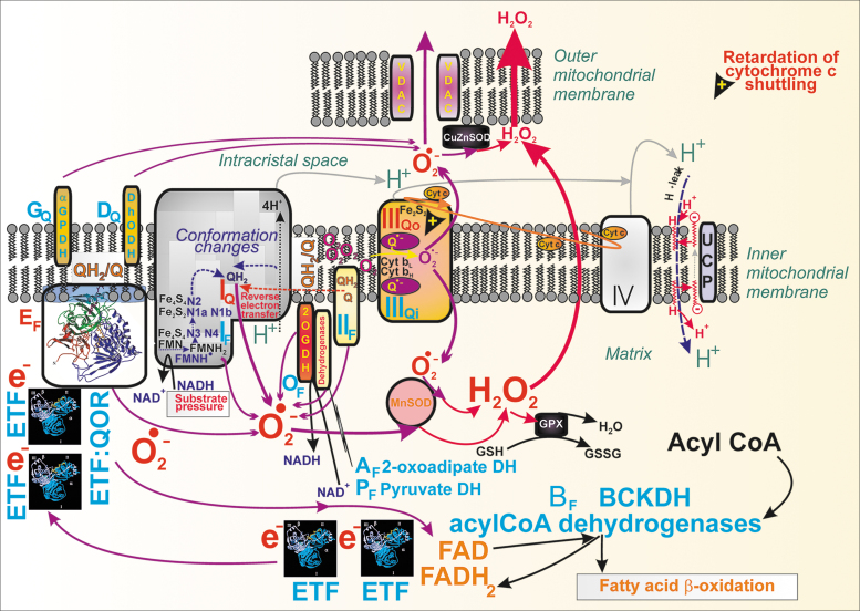 FIG. 11.