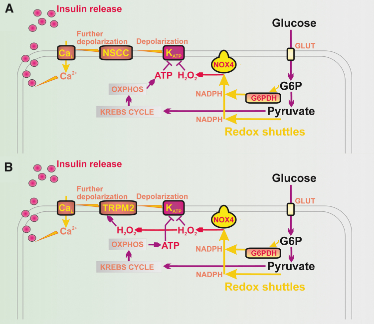 FIG. 1.