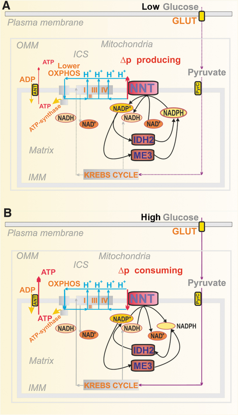 FIG. 6.