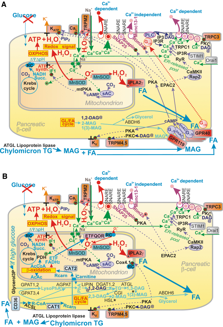 
FIG. 10.
