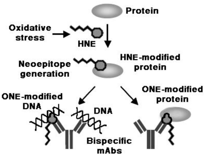 Figure 10.