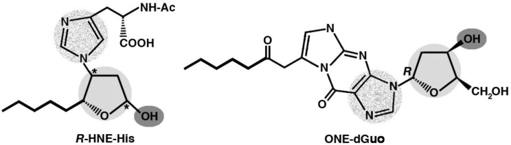 Figure 9.