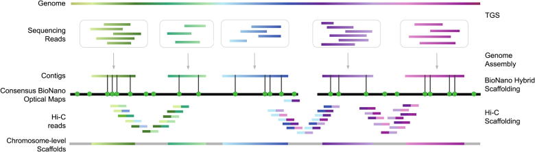 Fig. 3