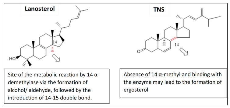 Figure 11