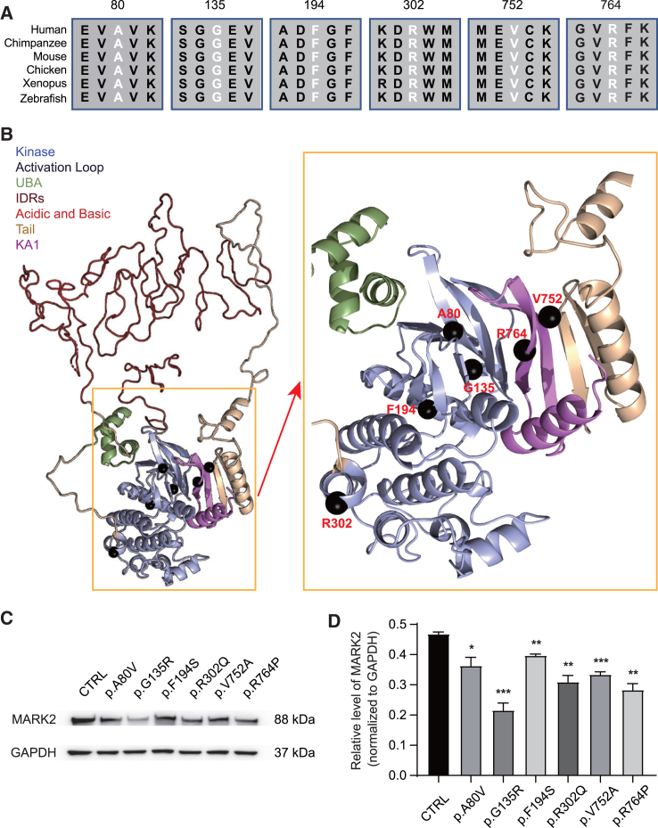 Figure 2