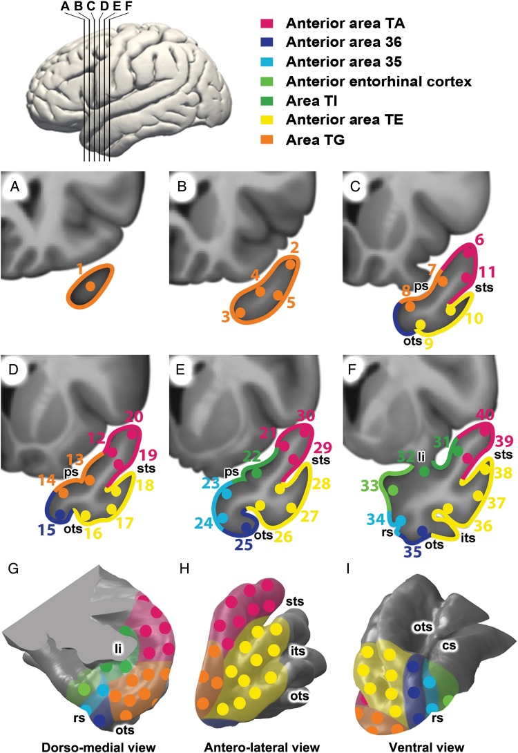 Figure 1.