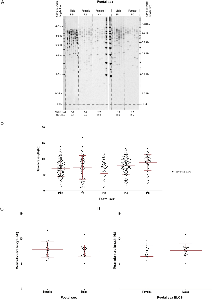 Fig. 4