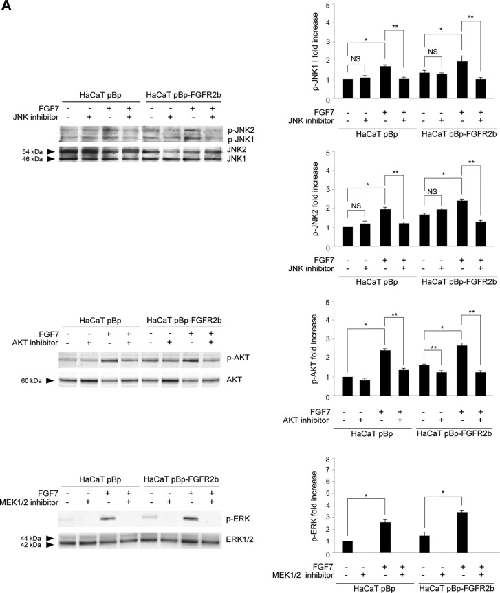 FIG 3