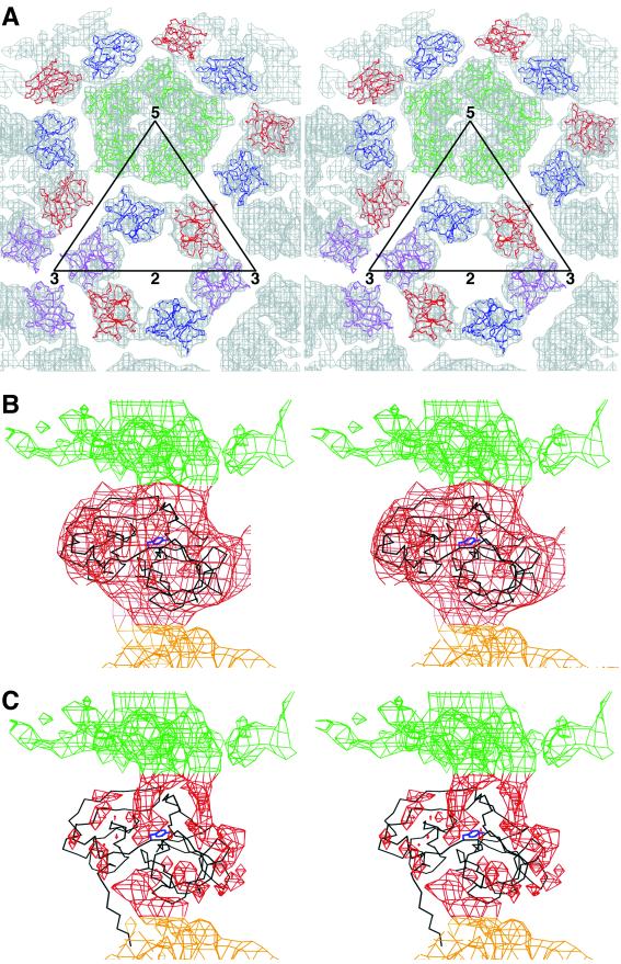 FIG. 7.