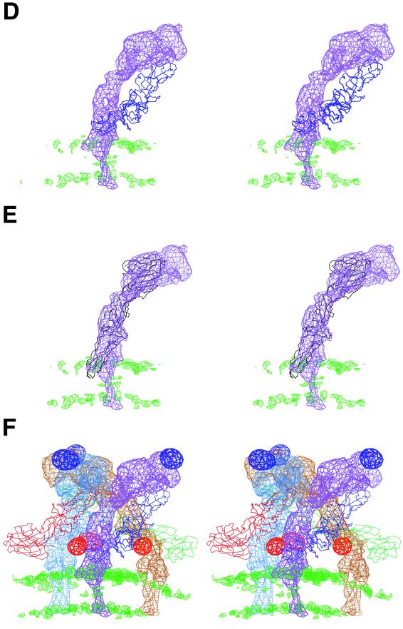 FIG. 4.