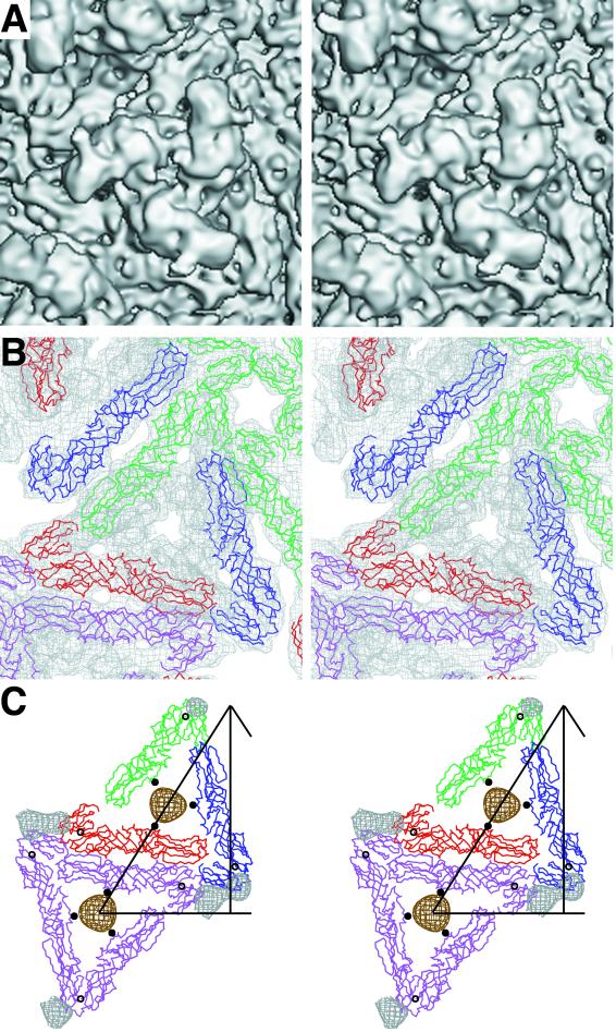 FIG. 4.