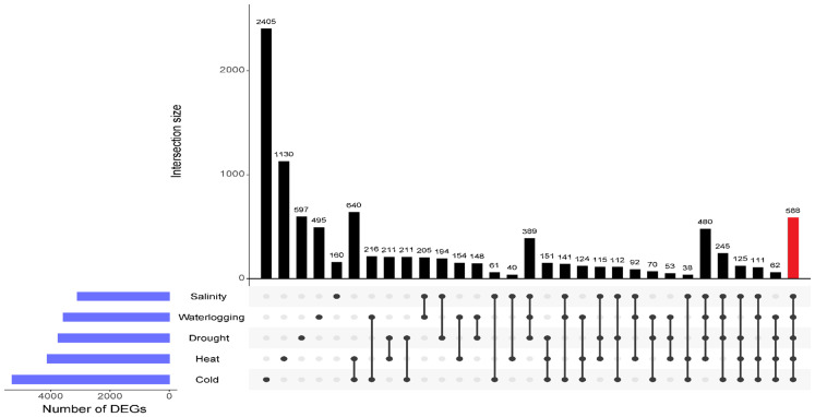 Figure 4