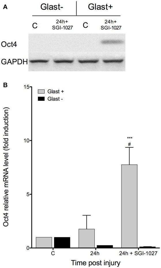 Figure 6