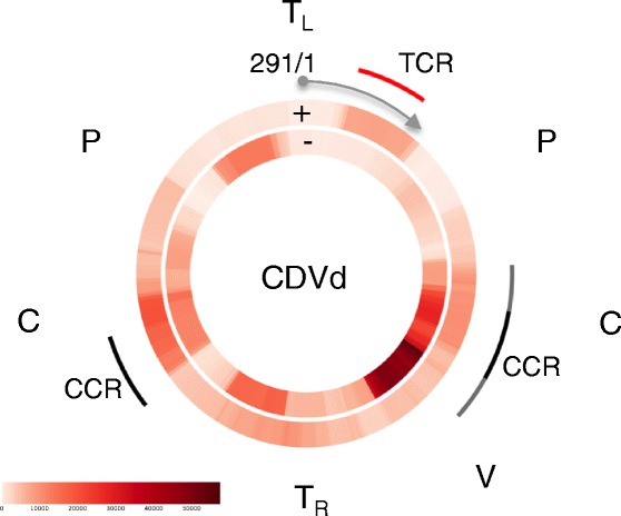 Fig. 6