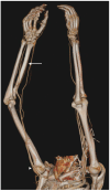 Fig. 5.