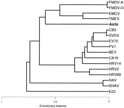 FIG. 4