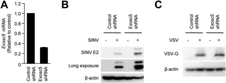 Fig. S3.