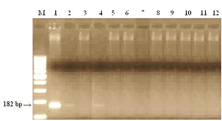 Fig. 13