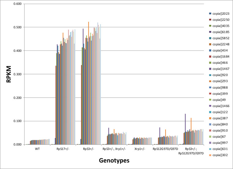 Figure 10—figure supplement 3.