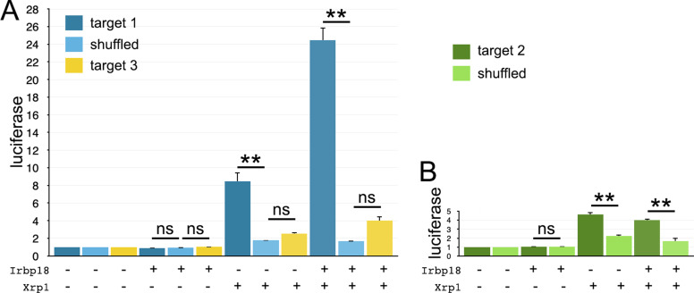 Figure 10—figure supplement 1.