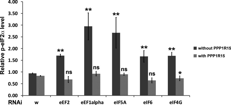 Figure 8—figure supplement 4.