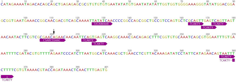 Figure 10—figure supplement 2.