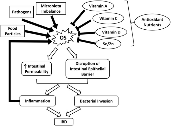 FIGURE 2