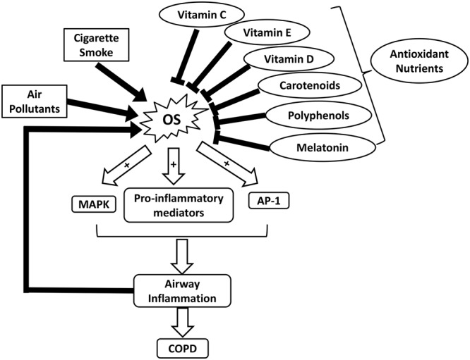 FIGURE 1