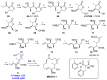 Scheme 7