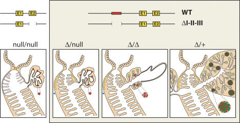 Figure 9.